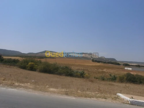 Vente Terrain Aïn Témouchent Bou zedjar