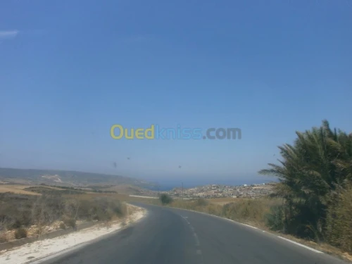Vente Terrain Aïn Témouchent Bou zedjar