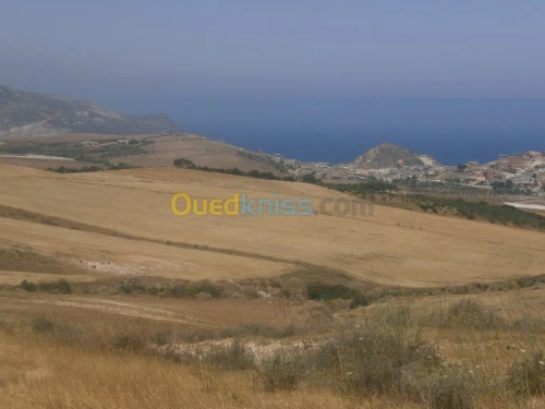 Vente Terrain Aïn Témouchent Bou zedjar