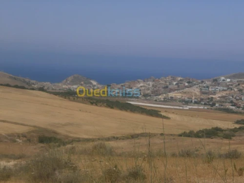 Vente Terrain Aïn Témouchent Bou zedjar