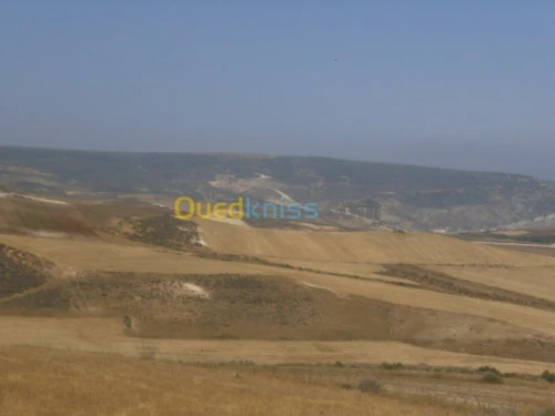 Vente Terrain Aïn Témouchent Bou zedjar