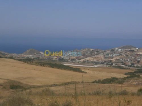 Vente Terrain Aïn Témouchent Bou zedjar