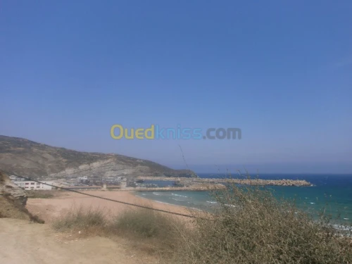 Vente Terrain Aïn Témouchent Bou zedjar