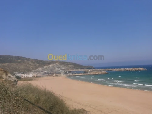 Vente Terrain Aïn Témouchent Bou zedjar