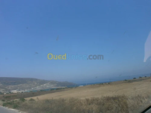 Vente Terrain Aïn Témouchent Bou zedjar