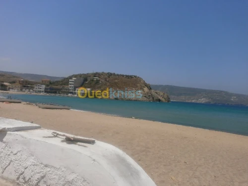 Vente Terrain Aïn Témouchent Bou zedjar