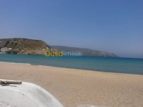 Vente Terrain Aïn Témouchent Bou zedjar