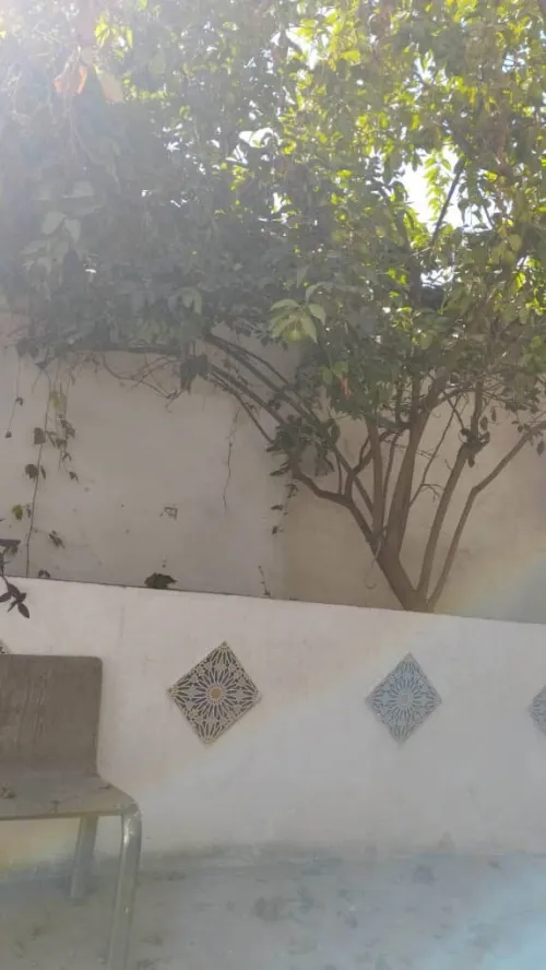 Vente Villa Annaba Annaba