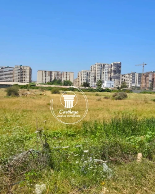 Vente Terrain Annaba Annaba