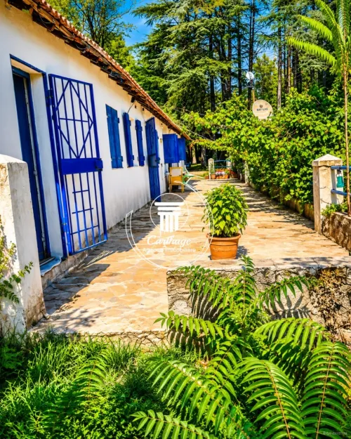 Vente Terrain Annaba Seraidi