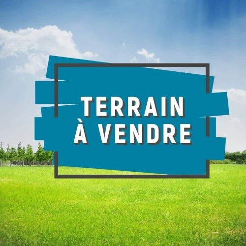Vente Terrain El Tarf El taref