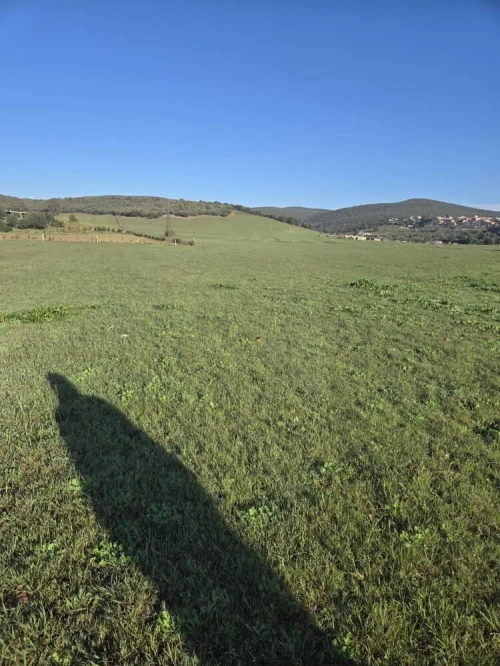 Vente Terrain Annaba Sidi amar