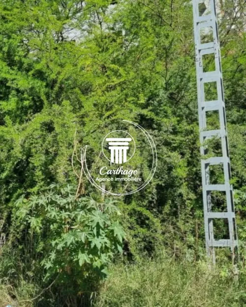 Vente Terrain Annaba Annaba