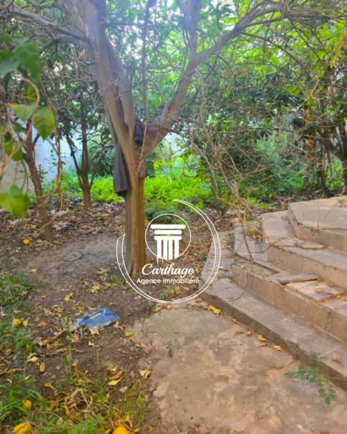 Vente Villa Annaba Annaba
