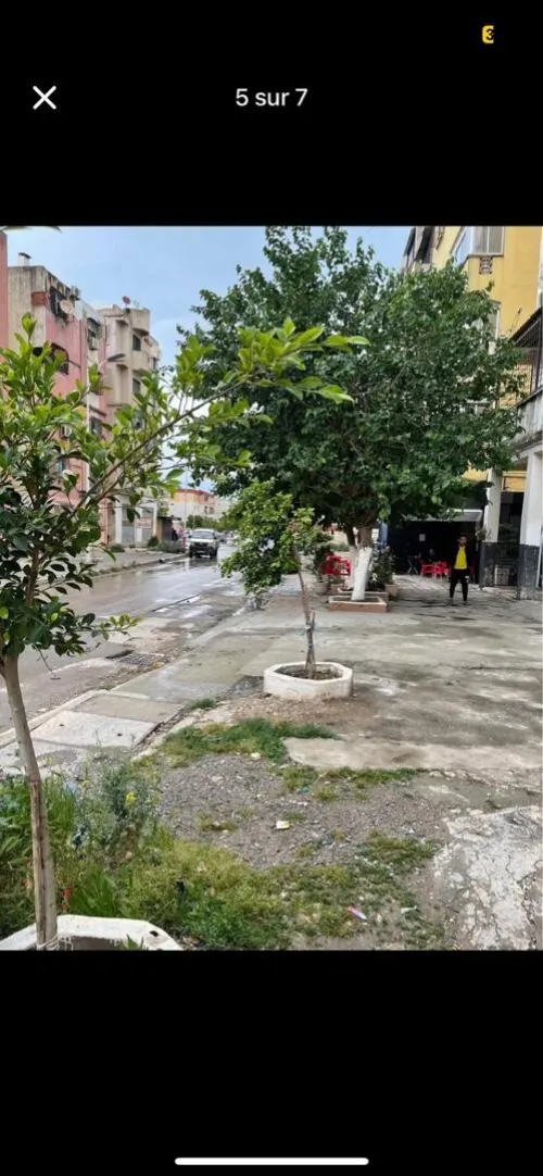 Location Local Annaba Annaba
