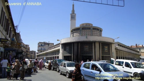 Vente Immeuble Annaba Annaba