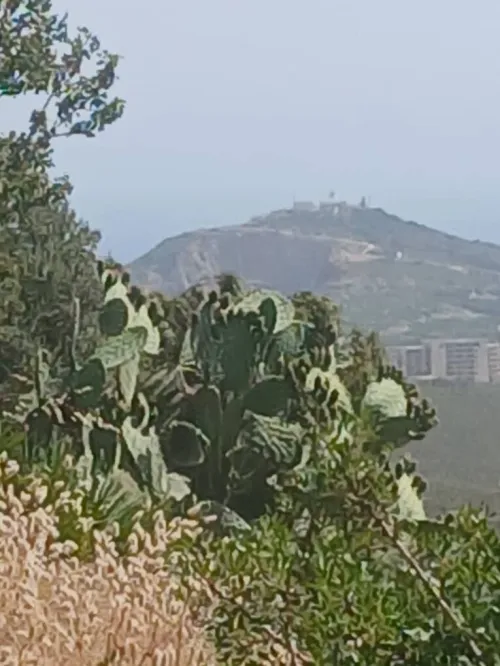 Vente Terrain Annaba Annaba
