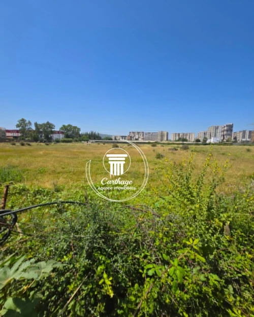 Vente Terrain Annaba Annaba