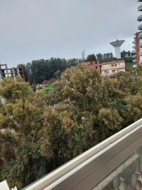 Location Appartement F4 Alger Dely brahim