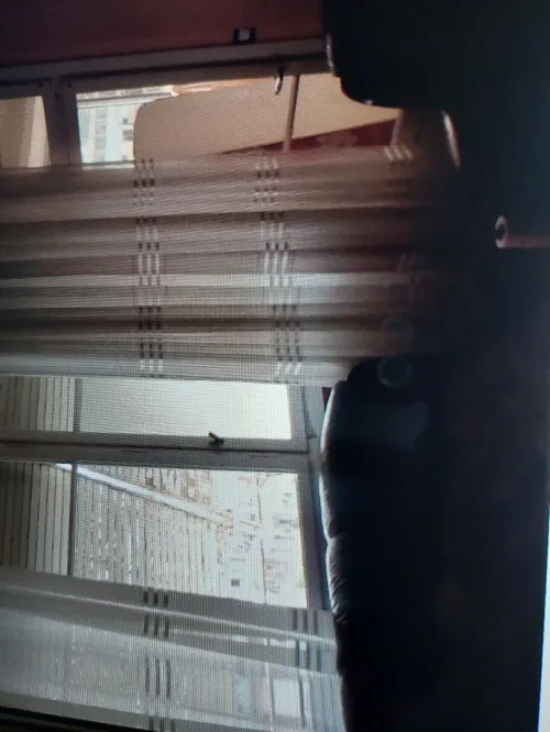Vente Appartement Alger Alger centre