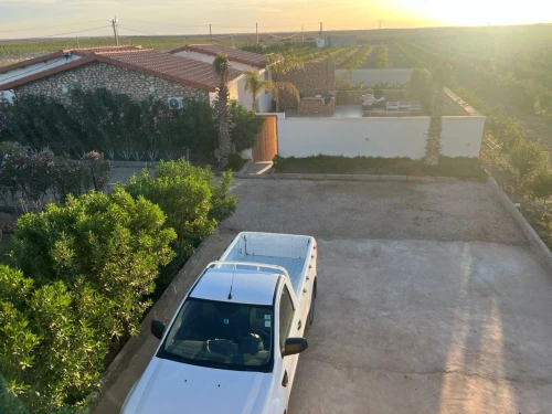Vente Terrain Agricole Tissemsilt Tissemsilt