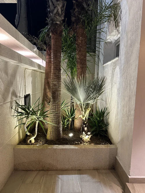 Vente Villa Alger Ain taya