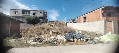 Vente Terrain El Tarf Raml souk souarekh