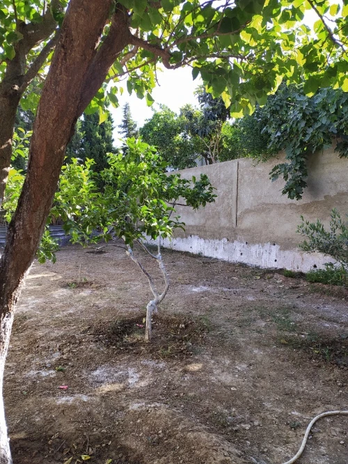 Vente Terrain Chlef Tenes