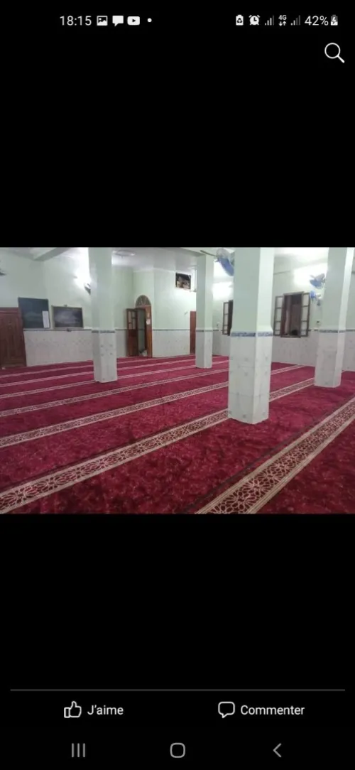 TAPIS MOSQUE