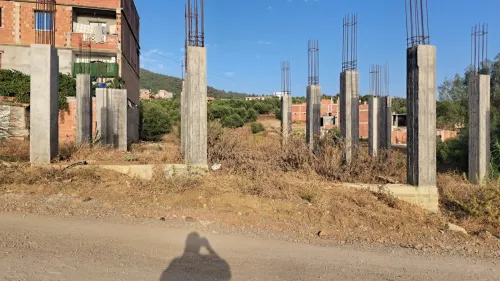 Vente Terrain Boumerdès El kharrouba
