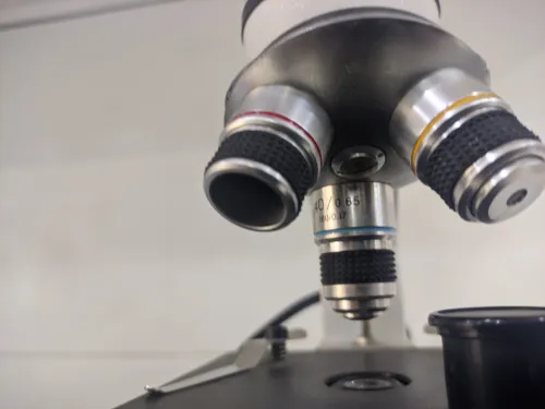 Microscopes LED professionnels 