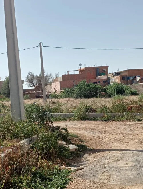 Vente Terrain Tlemcen Tlemcen