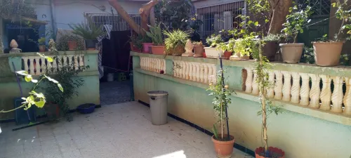 Vente Villa Saïda Ouled khaled