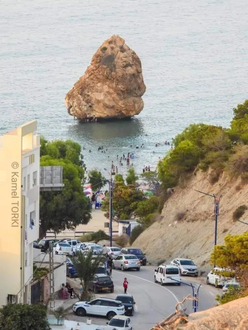 Vente Terrain Tlemcen Souk tlata