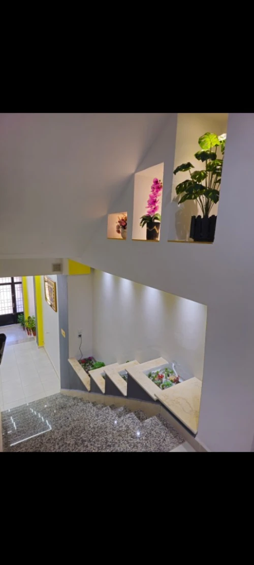 Location Appartement Tlemcen Mansourah