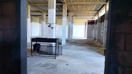 Location Hangar - Usine Tipaza Hadjout