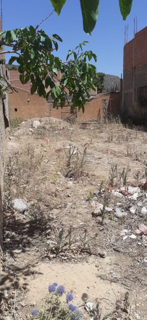 Vente Terrain Batna Oued chaaba