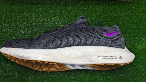 Nike Pegasus Turbo Next Nature - Ref DM3413-003 - Original اصلية - Pointure 46 / 30 CM