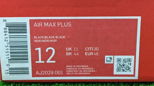 Nike Tn Air Max Plus - Ref AJ2029-001 - Original اصلية - Pointure 47 / 30.5 Centimètre
