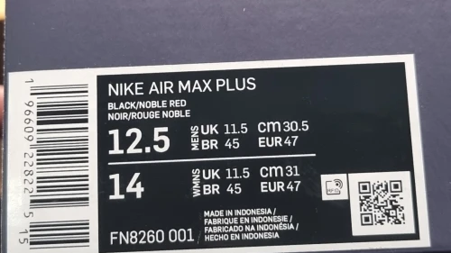 Nike Tn Air Max Plus Barça x Patta 2023 - FN8260-001 - Original اصلية - Pointure 47 / 30.5 Cm
