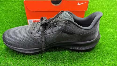 Nike Pegasus 39 - Ref DH4071-006- Original اصلية - Pointure 46 / 30 Centimètre