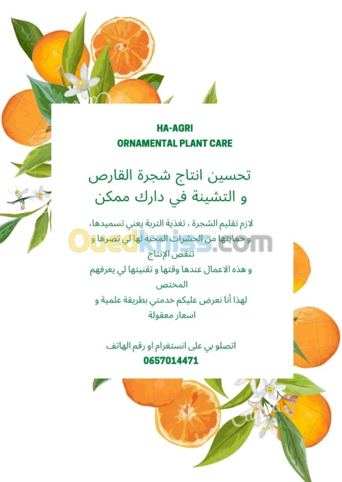 HA AGRI زبير الاشجار 