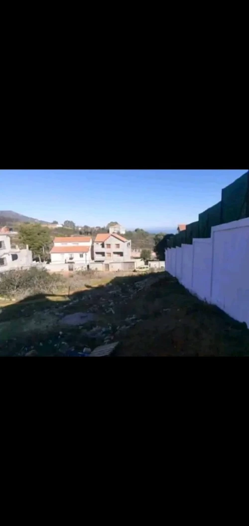 Vente Terrain Tipaza Tipaza