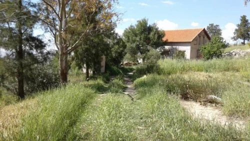 Vente Terrain Agricole Médéa Boghar