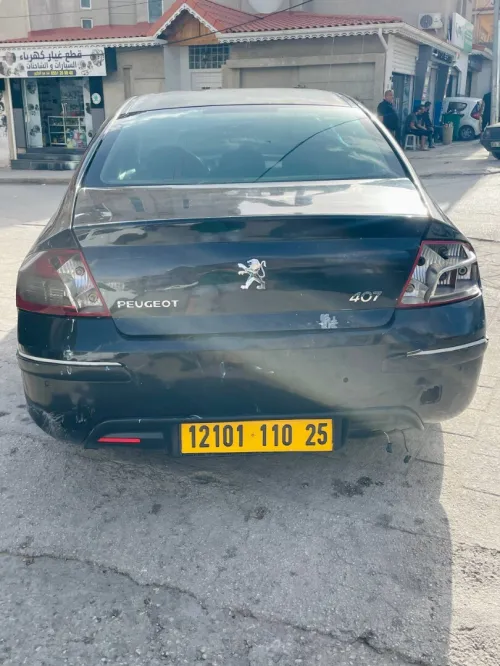 Peugeot 407 2010 