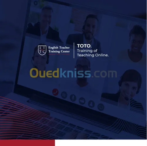 TOTO (Training of Teaching Online)