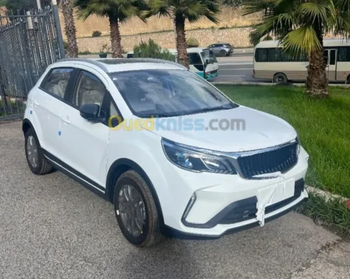Lifan Luxury 2025 Stil