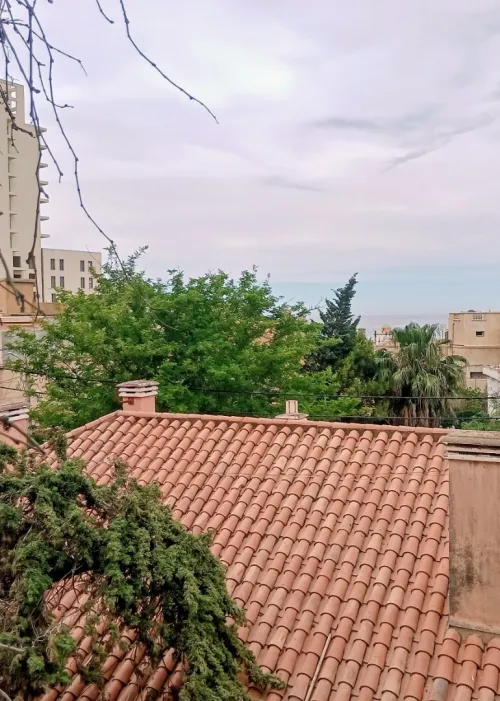 Vente Villa Alger Rais hamidou