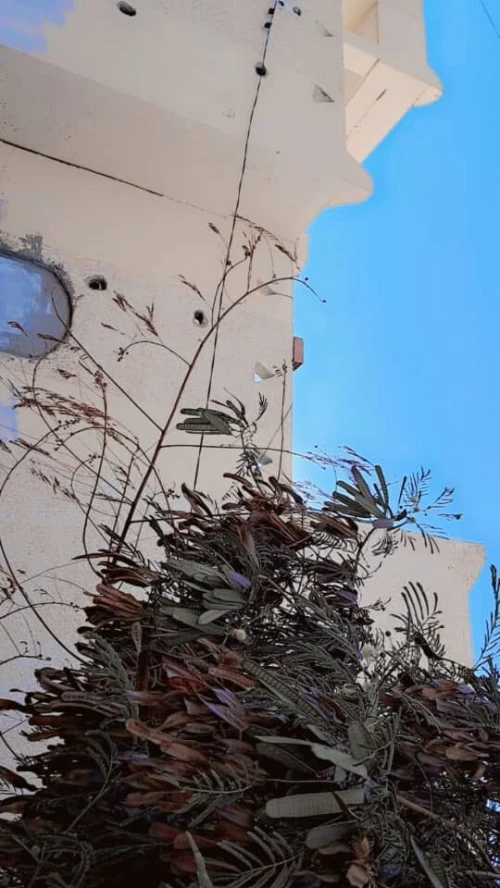 Vente Villa Ouargla Ouargla