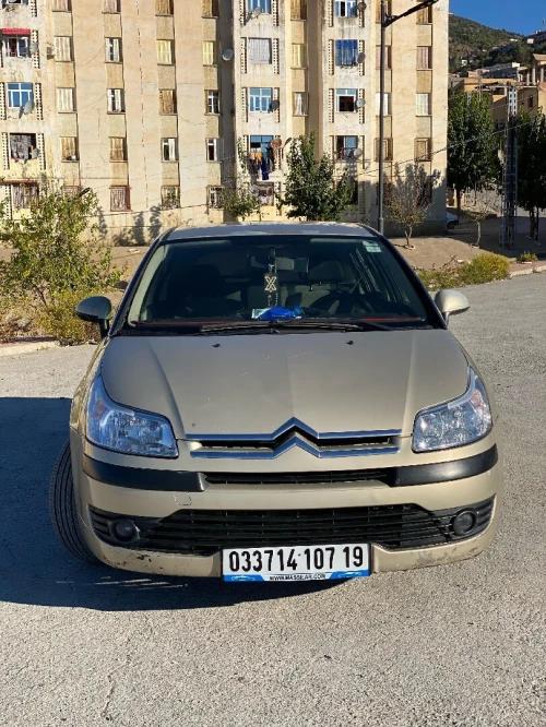 Citroen C4 2007 Vitamine